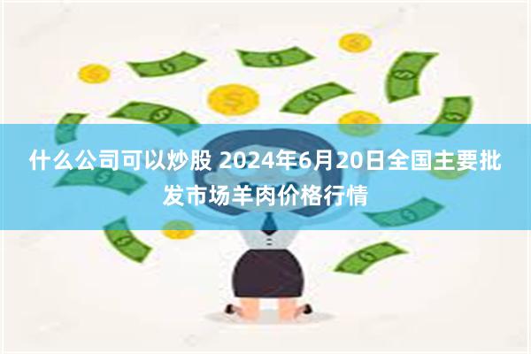 什么公司可以炒股 2024年6月20日全国主要批发市场羊肉价格行情