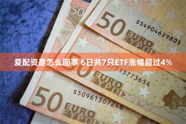 爱配资是怎么回事 6日共7只ETF涨幅超过4%