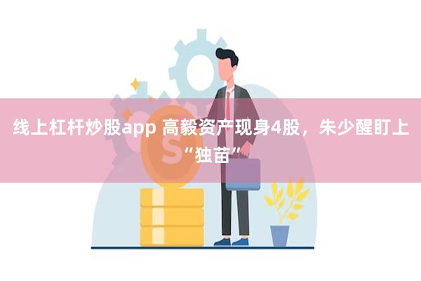 线上杠杆炒股app 高毅资产现身4股，朱少醒盯上“独苗”