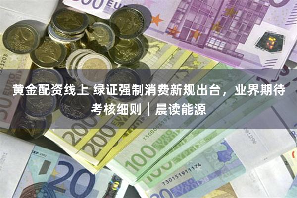 黄金配资线上 绿证强制消费新规出台，业界期待考核细则︱晨读能源