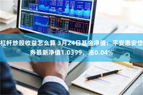 杠杆炒股收益怎么算 3月24日基金净值：平安惠安债券最新净值1.0399，涨0.04%