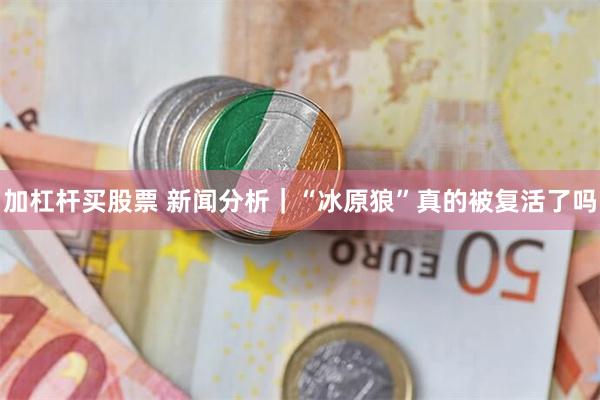 加杠杆买股票 新闻分析｜“冰原狼”真的被复活了吗