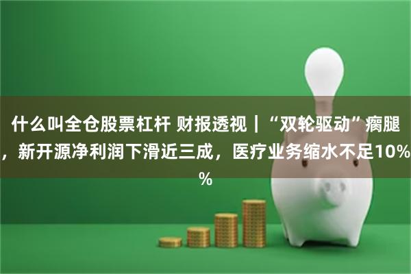 什么叫全仓股票杠杆 财报透视｜“双轮驱动”瘸腿，新开源净利润下滑近三成，医疗业务缩水不足10%