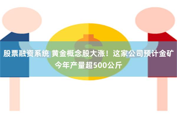 股票融资系统 黄金概念股大涨！这家公司预计金矿今年产量超500公斤