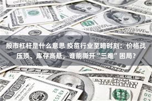 股市杠杆是什么意思 疫苗行业至暗时刻：价格战压顶、库存高悬，谁能撕开“三难”困局？