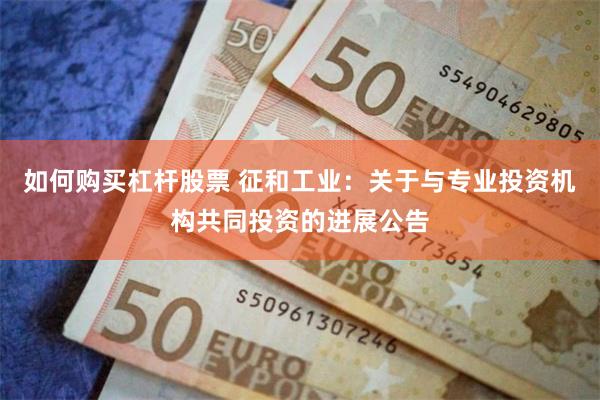 如何购买杠杆股票 征和工业：关于与专业投资机构共同投资的进展公告