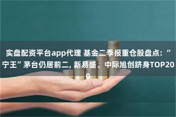 实盘配资平台app代理 基金二季报重仓股盘点: “宁王”茅台仍居前二, 新易盛、中际旭创跻身TOP20