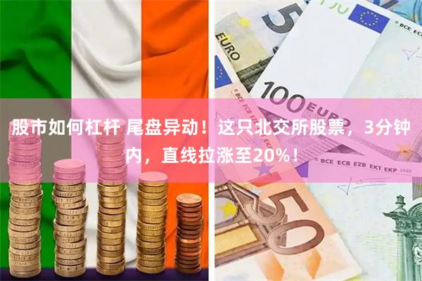 股市如何杠杆 尾盘异动！这只北交所股票，3分钟内，直线拉涨至20%！