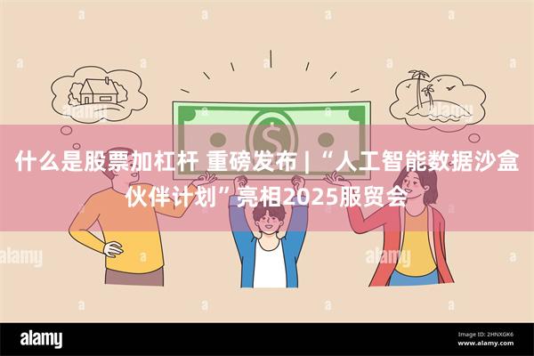 什么是股票加杠杆 重磅发布 | “人工智能数据沙盒伙伴计划”亮相2025服贸会