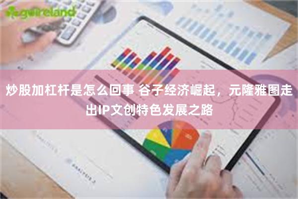 炒股加杠杆是怎么回事 谷子经济崛起，元隆雅图走出IP文创特色发展之路